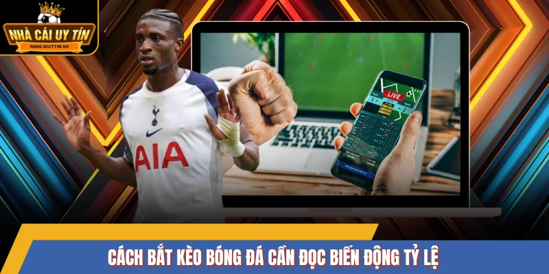 Cách bắt kèo bóng đá cần đọc biến động tỷ lệ