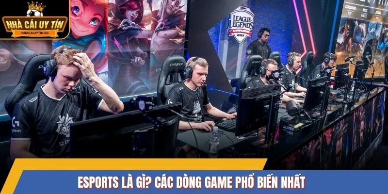 Esports là gì? Các dòng game phổ biến nhất 